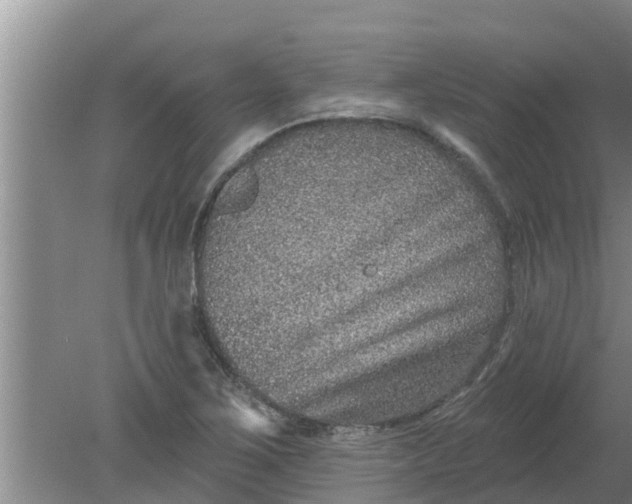 X0000080151267200612221940