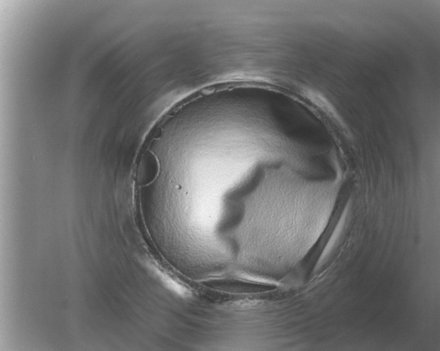 X0000080151268200612221940