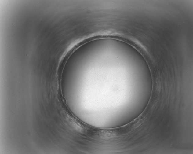 X0000080151270200612221940