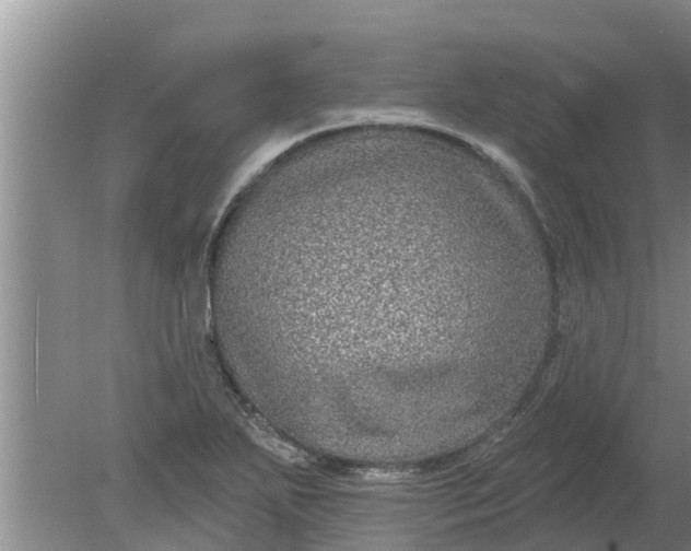 X0000080151271200612221940