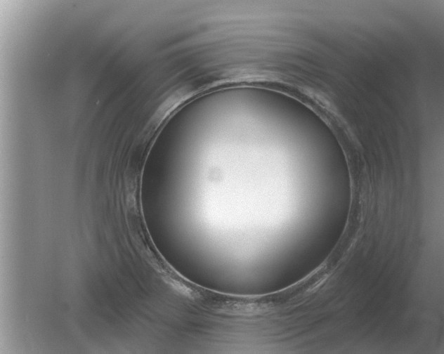 X0000080151273200612221940