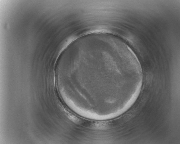 X0000080151274200612221940