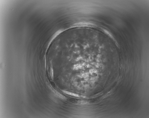 X0000080151275200612221939