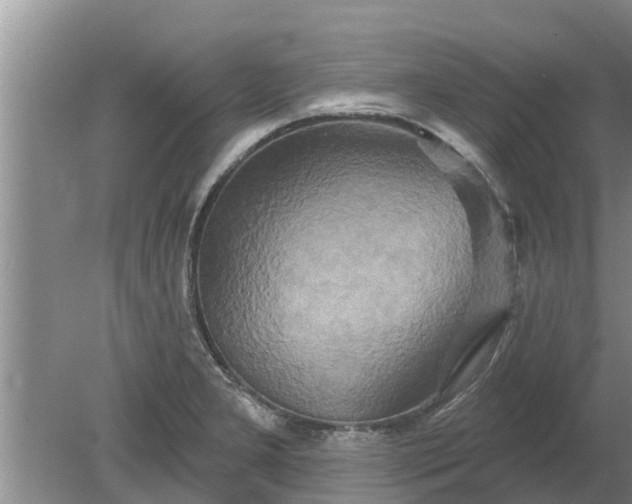 X0000080151277200612221939