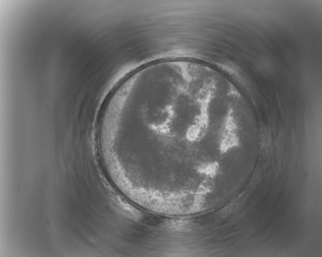 X0000080151278200612221939