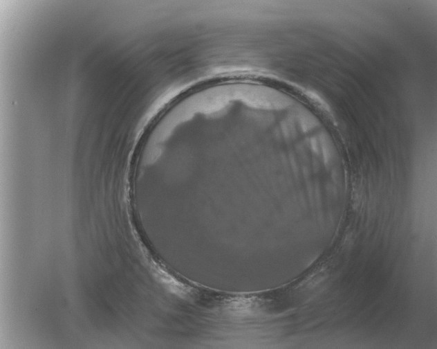 X0000080151279200612221939