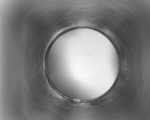 X0000080151280200612221939