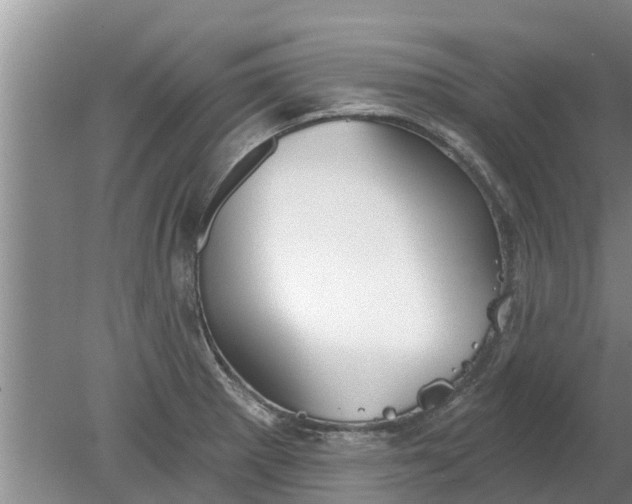 X0000080151281200612221939