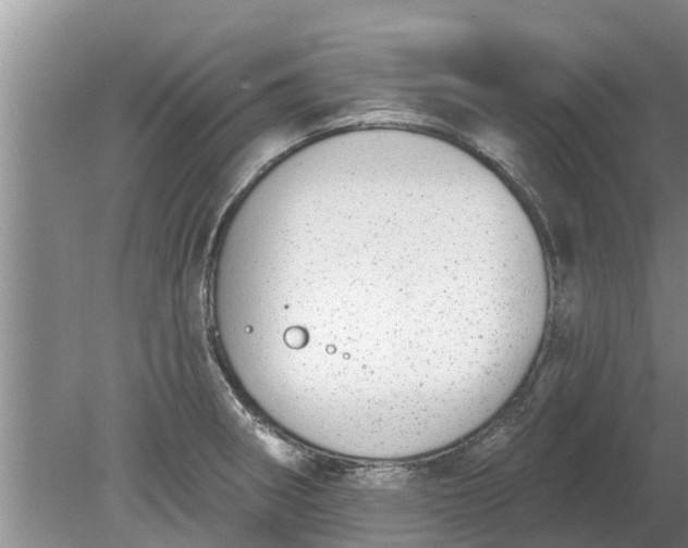 X0000080151282200612221939