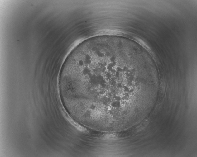 X0000080151283200612221939