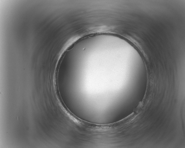 X0000080151285200612221939