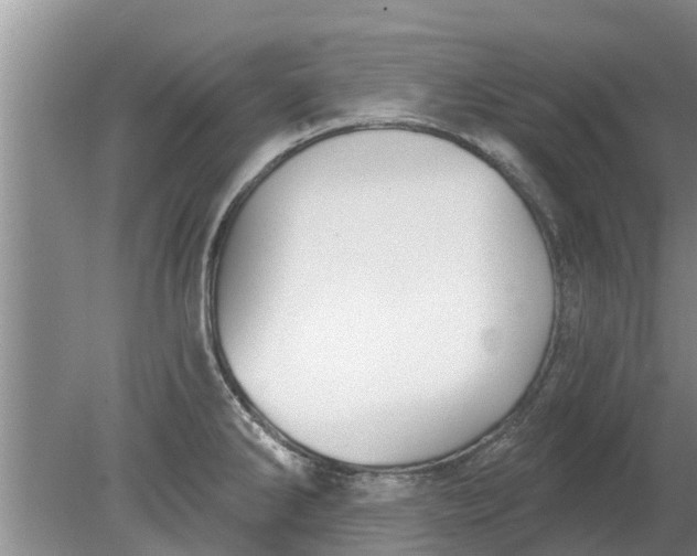 X0000080151286200612221939