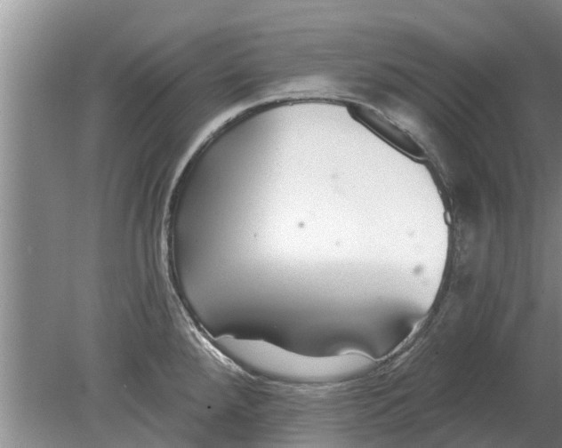 X0000080151288200612221939