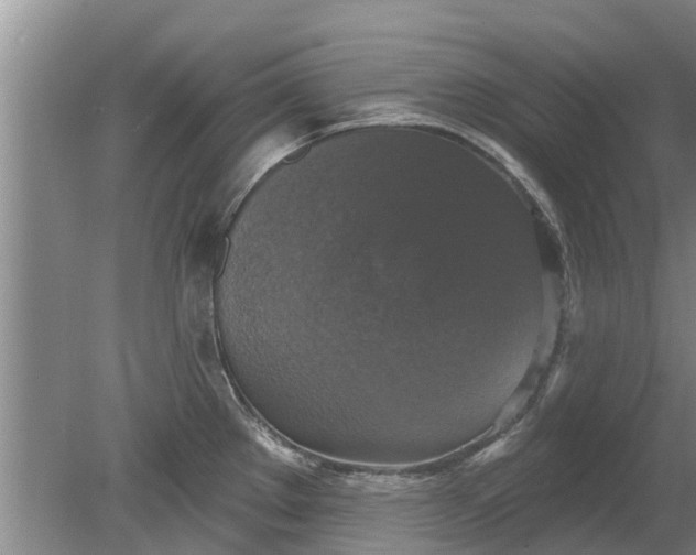 X0000080151289200612221939