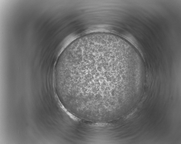 X0000080151290200612221939