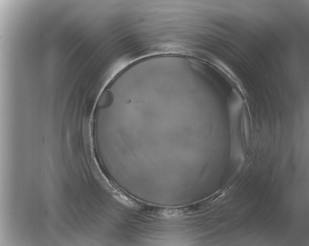 X0000080151291200612221939