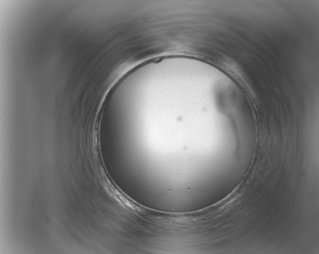 X0000080151292200612221939