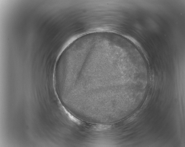 X0000080151294200612221939