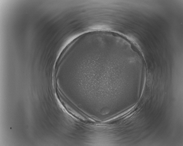 X0000080151295200612221939