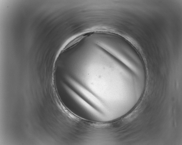 X0000080151296200612221939