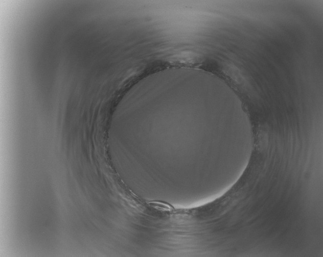 X0000080151297200612221938