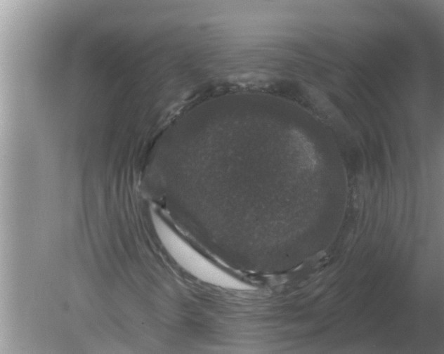 X0000080151298200612221938