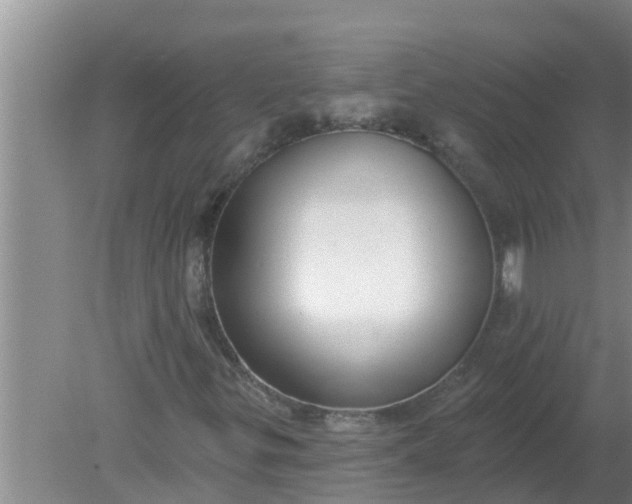 X0000080151299200612221938