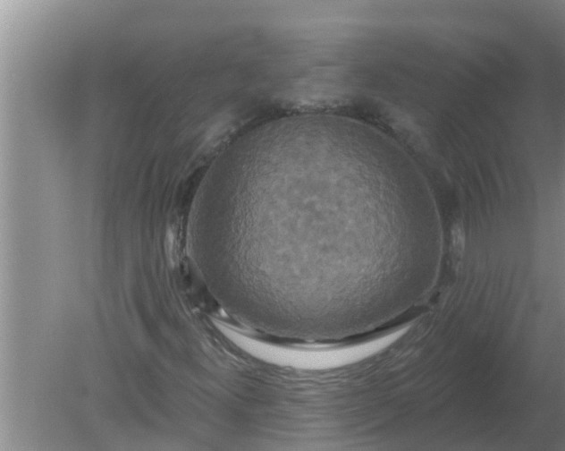 X0000080151300200612221938