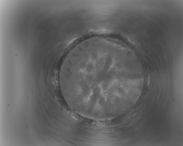 X0000080151301200612221938