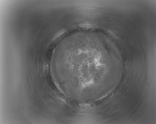 X0000080151302200612221938