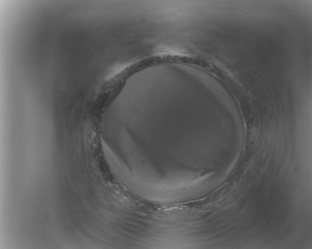 X0000080151303200612221938