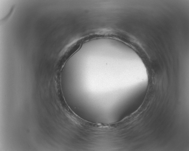 X0000080151304200612221938