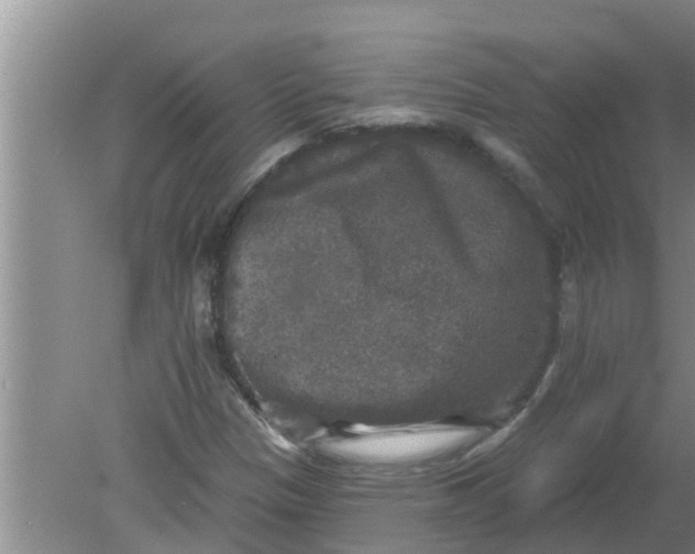 X0000080151305200612221938