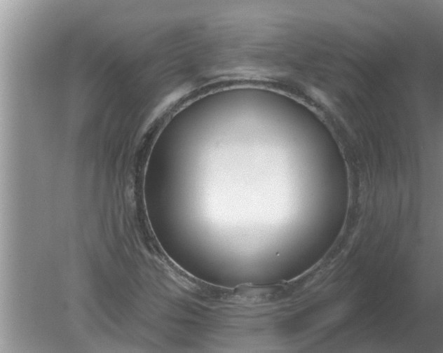 X0000080151307200612221939