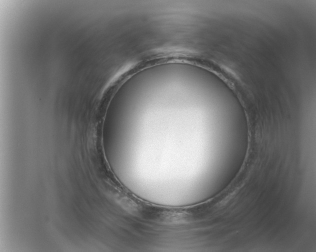 X0000080151309200612221939