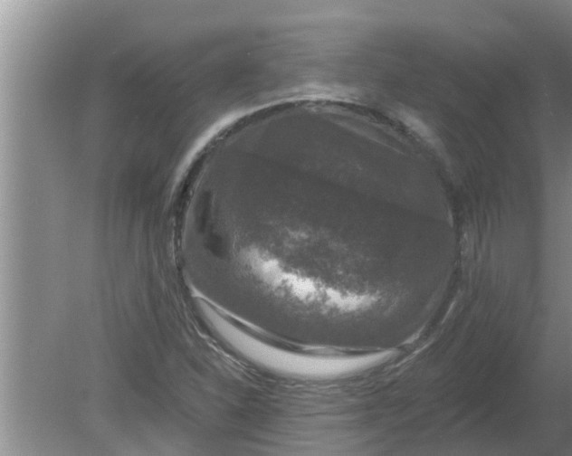 X0000080151310200612221939