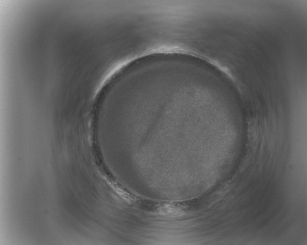 X0000080151311200612221939