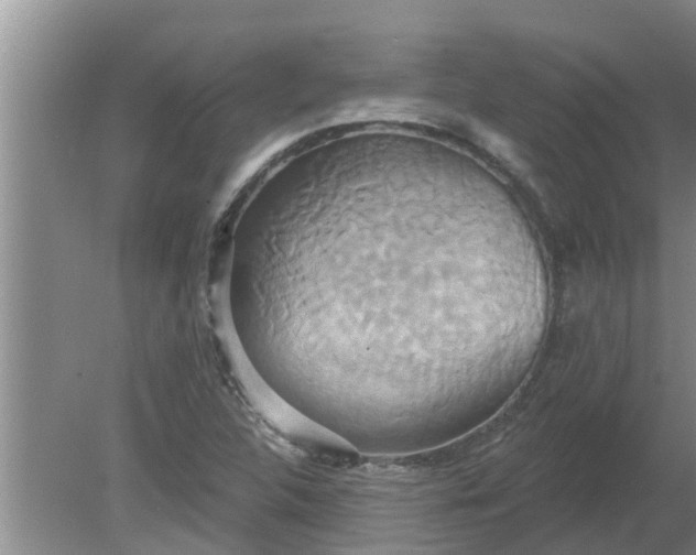 X0000080151312200612221939