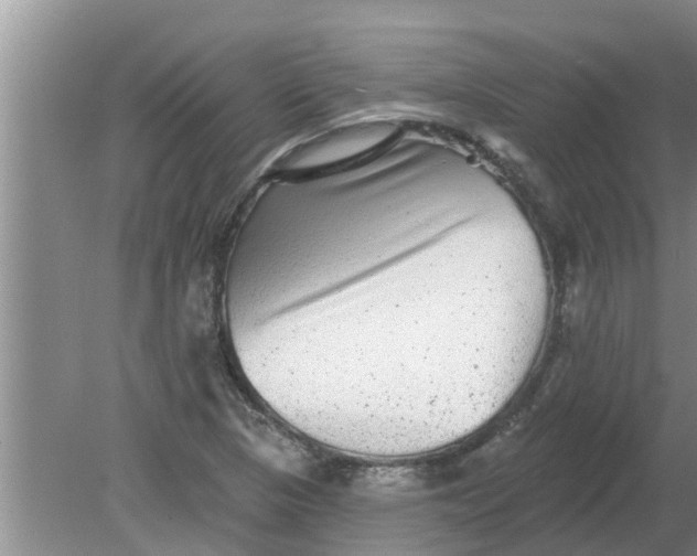 X0000080151313200612221939