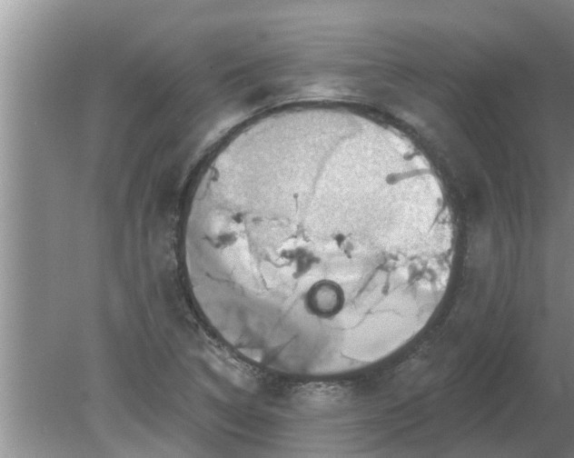 X0000080151314200612221939