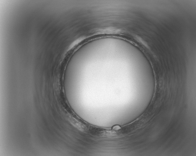 X0000080151315200612221939