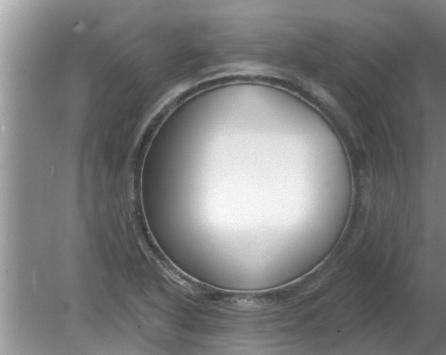 X0000080151318200612221939