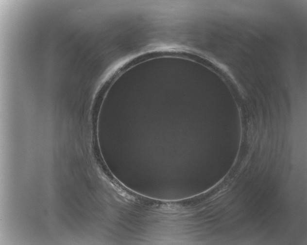 X0000080151319200612221939