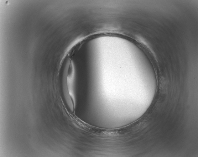 X0000080151320200612221939