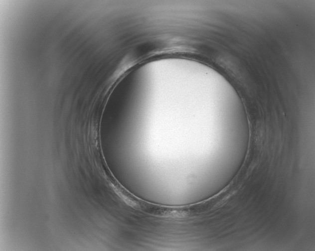 X0000080151321200612221939