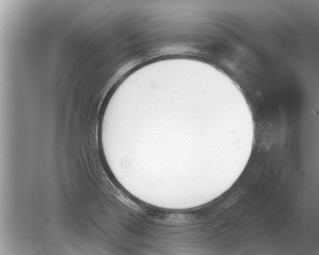 X0000080151322200612221939