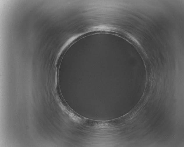 X0000080151323200612221939