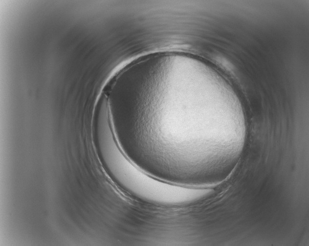 X0000080151324200612221939