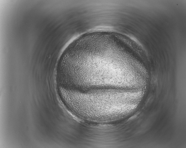 X0000080151325200612221939