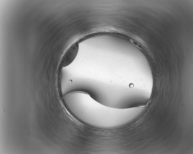 X0000080151326200612221939